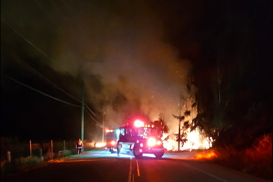 Coldstream and Lavington firefighters responded to a tree fire Monday, Aug. 19.