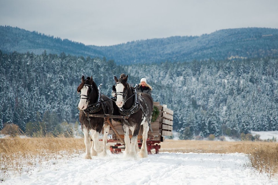 Horse Drawn Okanagan presents its seventh annual Sleigh Ride in Spallumcheen,  Dec. 20-24, and Dec. 26-29.