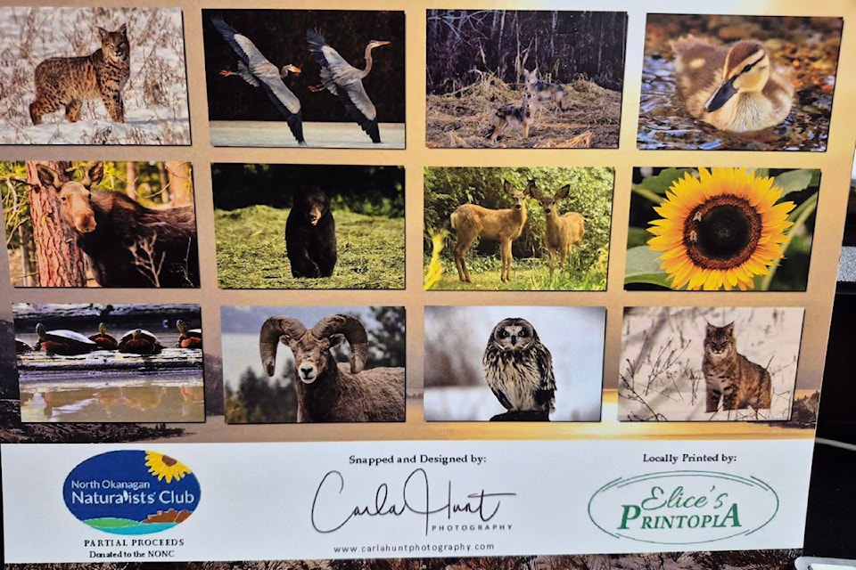 Vernon photographer Carla Hunt has released her 10th annual Best of the Okanagan calendar for 2025 with spectacular shots of nature and its residents.