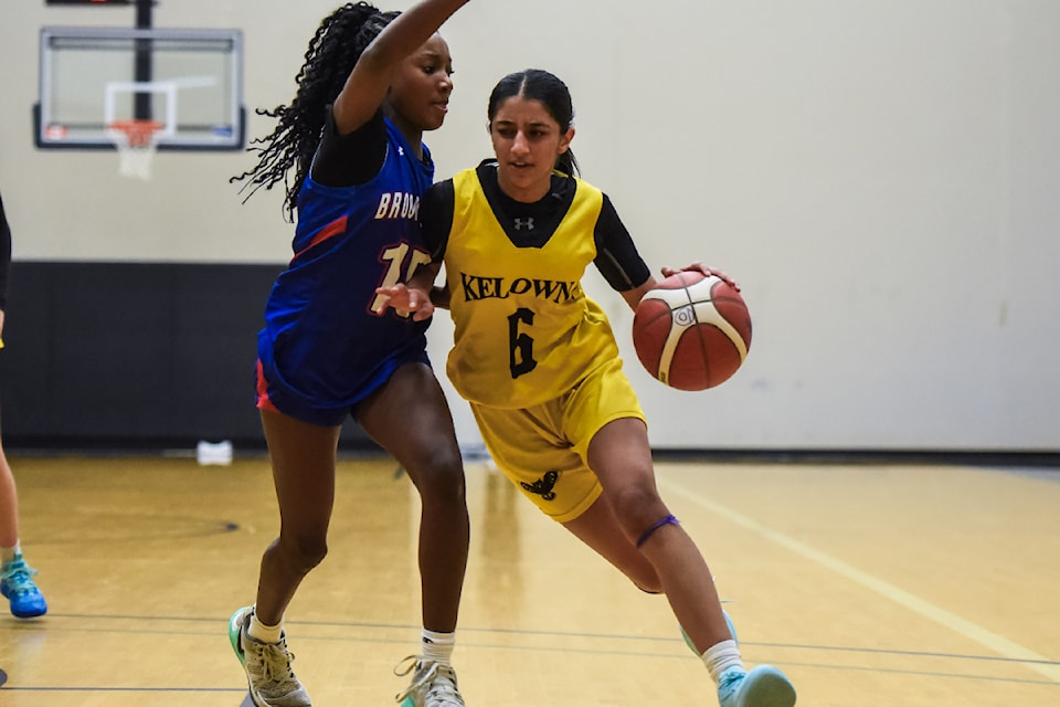 241219-vms-owls2
