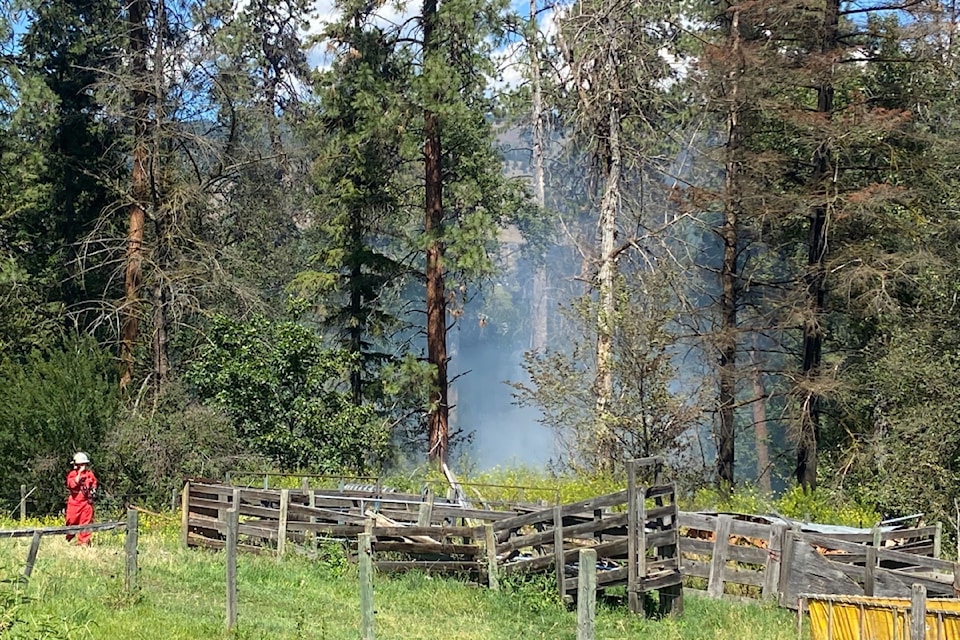 Crews responding to a tree fire off Coldstream Creek Road Thursday afternoon, July 4, 2024.