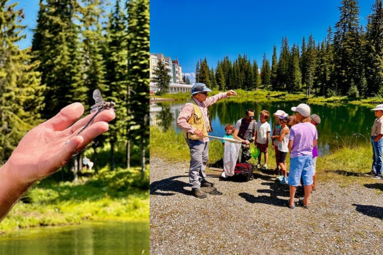 Dr. Ward Strong leads an Insect Safari on Saturday, Aug. 3 at Brewer's Pond at 10 a.m. To identify your catch, nets and hand lenses will be provided for a close up examination, before the insect are released back to nature. Make sure you have good footwear and have your sunscreen and bug repellent. To register email Debbie at dell6506@gmail.com.