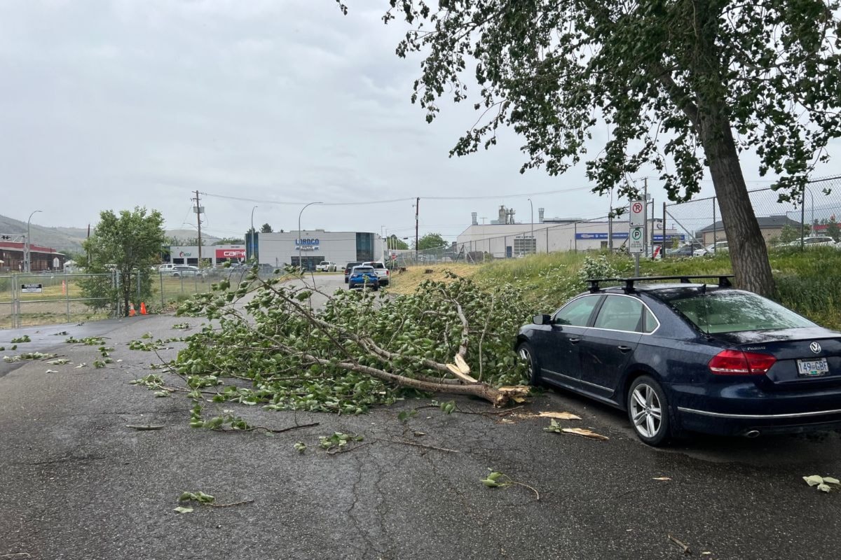 Vernon power outage impacting 3,648 residents/businesses Vernon