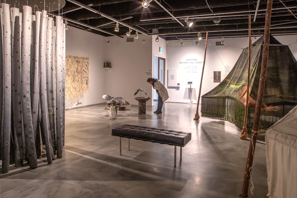 Rewilding: The Forest Will Forget Us, is on display at the Vernon Art Gallery until Dec. 20. 