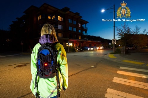 241010-vms-pedestrian