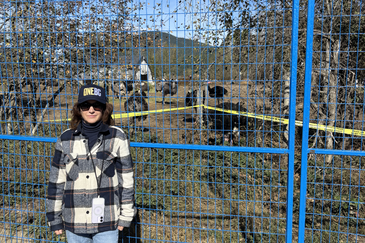 MLA Brodie visits B.C. ostrich farm, calls cull 'government overreach'
