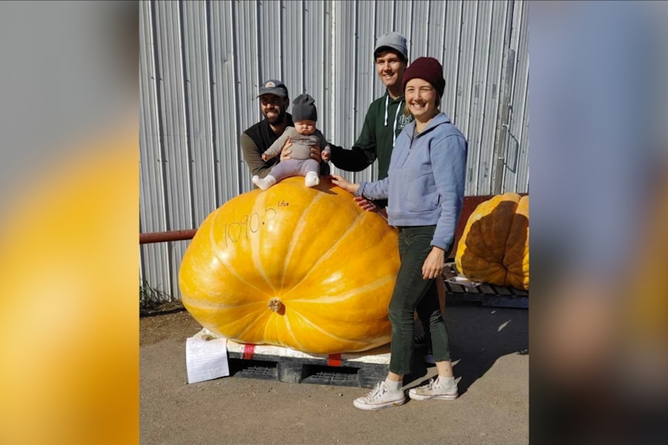 pumpkin