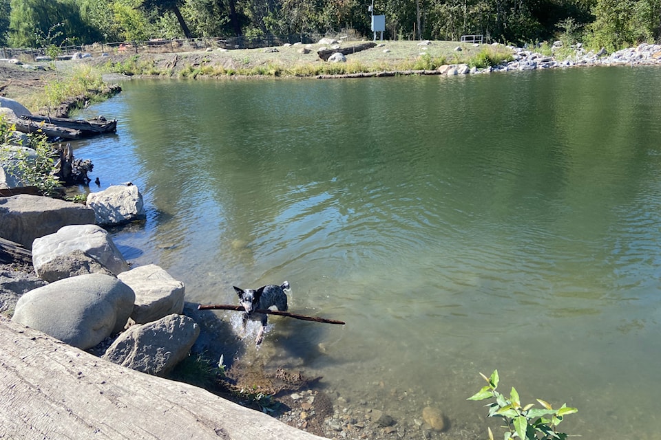 Maintenance of the new sediment pond at BX Dog Park will close the space Sept. 23 and 24. 