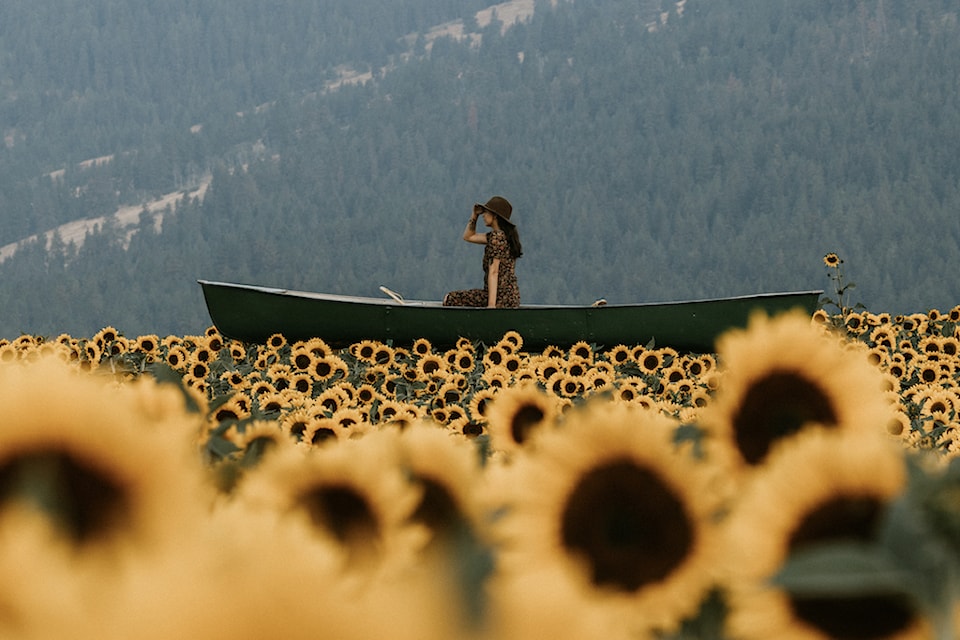 240926-vms-sunflower-festival