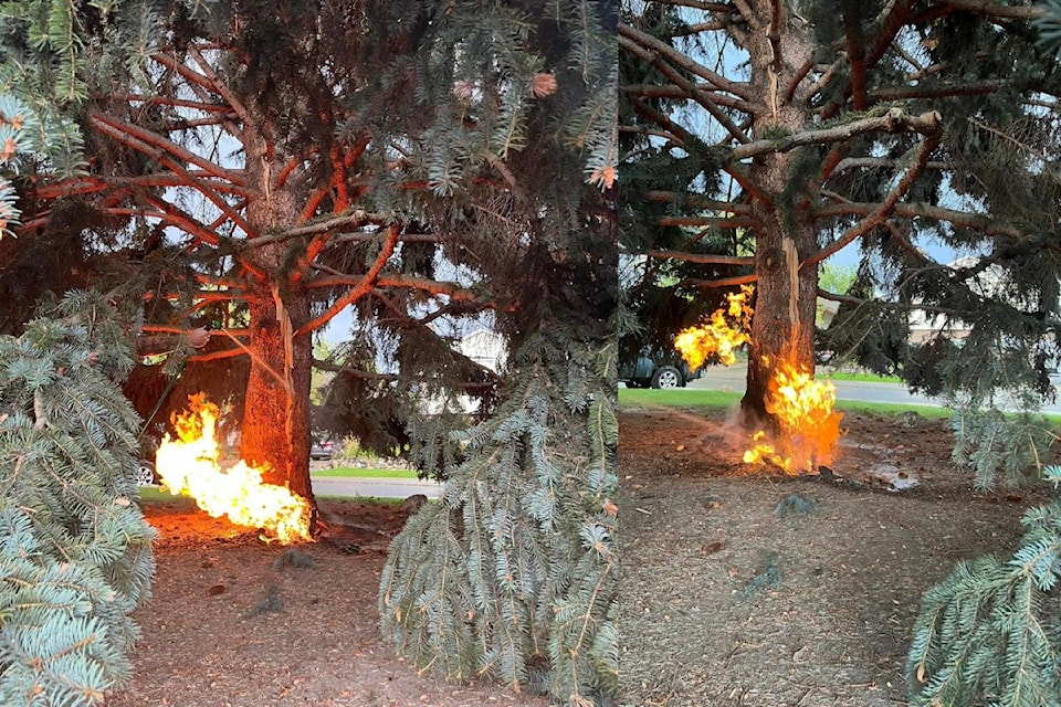 fireeee
