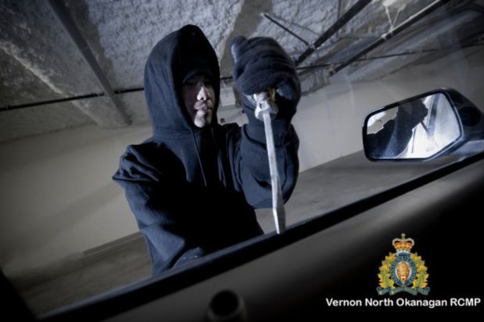 250410-vms-auto-crime