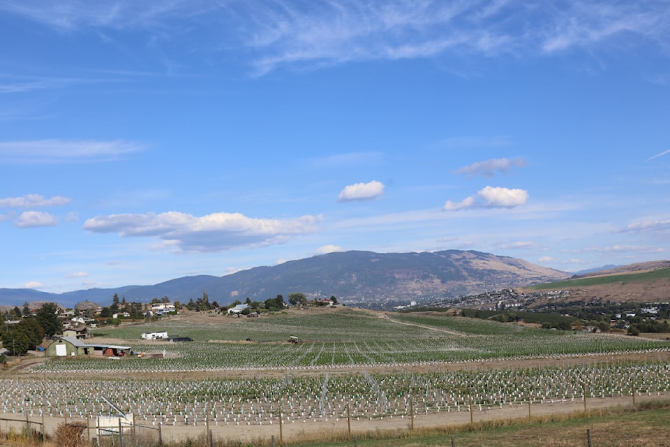 250410-vms-frind-winery