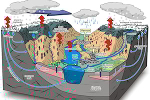 Let’s protect and enjoy our lovely Okanagan lakes