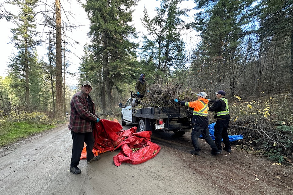 Venture Training crews help Friends of Kalamalka Lake Provincial Park remove invasive shrubs.