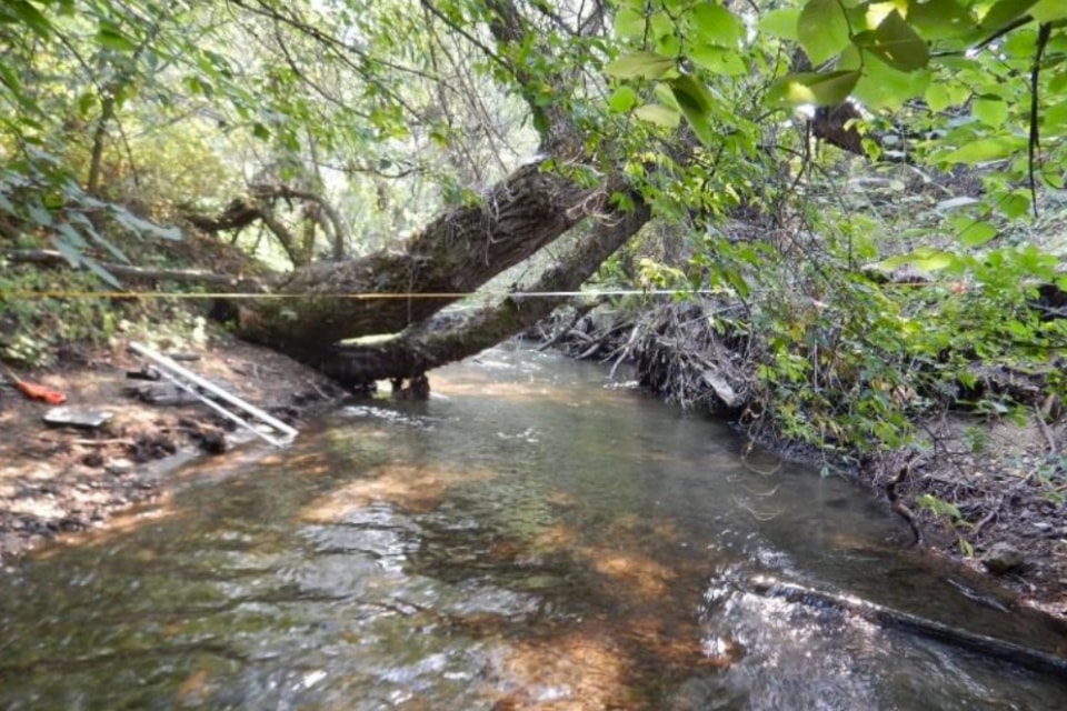 250807-vms-water-assessment