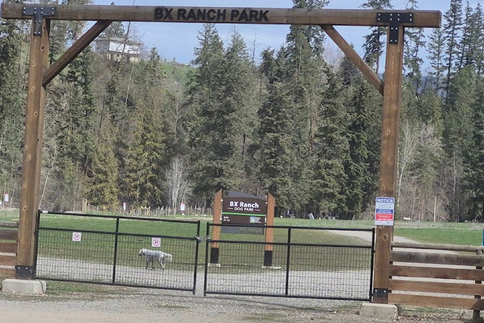 250605-vms-bx-ranch-dog-park