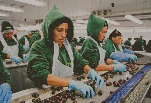 250619-vms-farmworkers