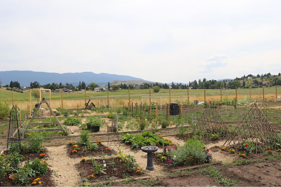 Vernon's sncəcmałqtn Agricultural Park,which officially opened May 1, is thriving.