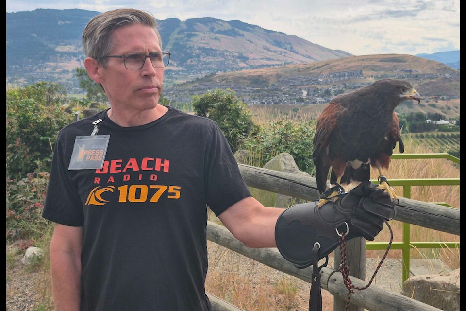 Vernon Beach Radio morning show co-host Brian Martin gets up close and person with Vega, a Harris' hawk, at the Allan Brooks Nature Centre in Vernon Friday, June 20. Vega and some friends from the Raptors Centre in Duncan will be at the nature centre through June 25.