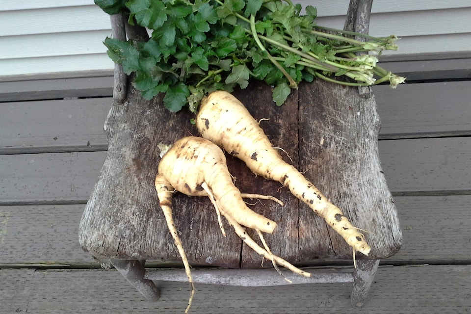 250306-vms-parsnips