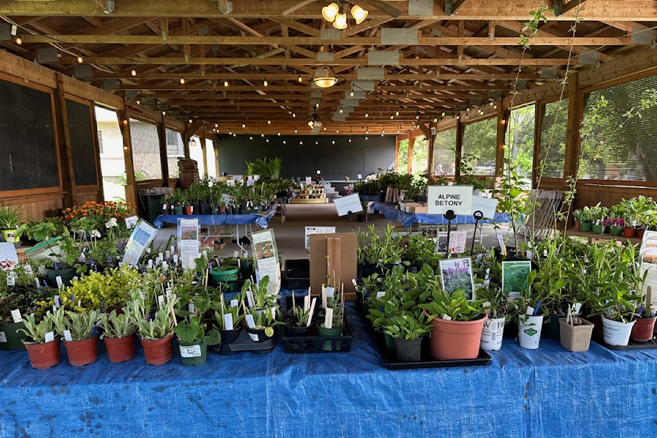 The annual Perennial Plant Sale takes place May 24 and 25 at O'Keefe Ranch.