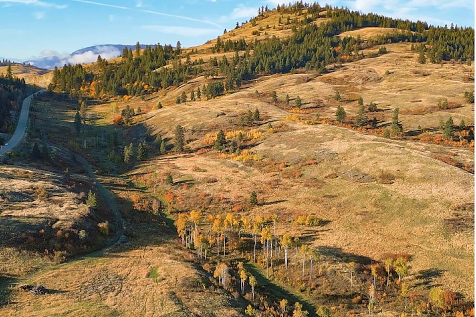 580 Commonage is a new planned neighbourhood in the Vernon area, set to be completed by the lower mainland company Kerkhoff Design-Build.