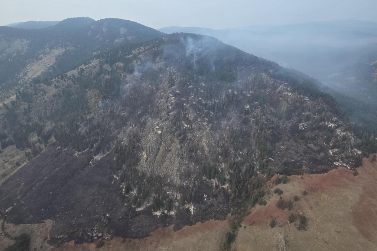 No growth wildfire in Lavington, Coldstream which is now held