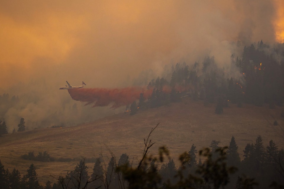 Crews are continuing to fight the Noble Canyon wildfire near Lavington Saturday morning, Sept. 6, 2025, picking up on extensive efforts from the night before. 