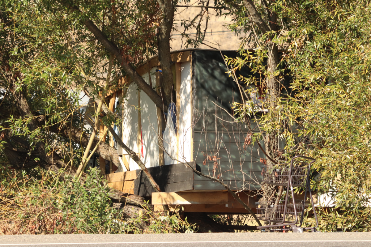 Officials monitoring B.C. homeless encampment treehouse for safety