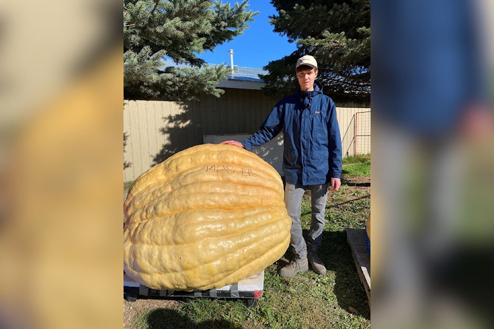 Kelowna's Jordan Abbate set a B.C. record for the largest pumpkin weighed in 2024 with his 1,408-pound whopper at the Armstrong Harvest Pumpkin Festival's Giant Pumpkin Weigh-In Saturday, Oct. 12.