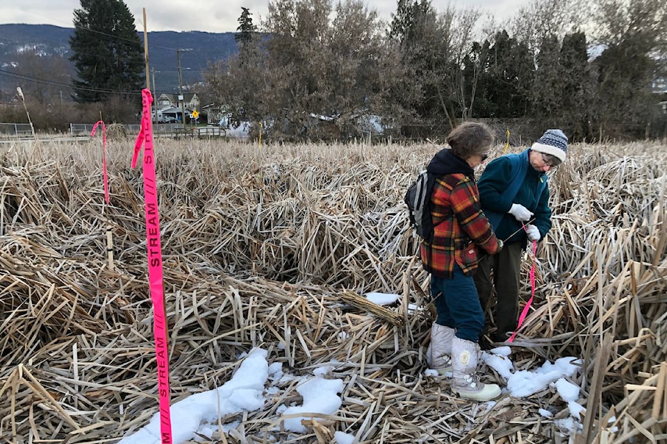 Dianne Wells (left) and Colleen Cuthbert of the Armstrong Wetlands Association tie a flag to a stake as the group helps layout perimeter points for the creation of a pond on a small wetland off Armstrong's Okanagan Street.