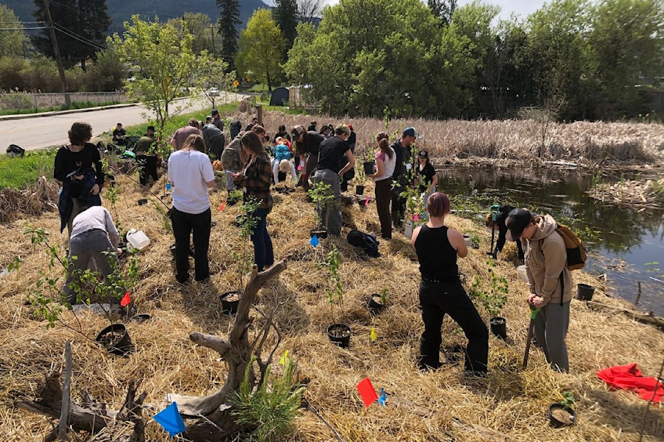 Secondary school students from Armstrong and Vernon planted more than 100 native trees and shrubs to make a pocket forest at the site of the Armstrong Wetland Association's latest project on Okanagan Street in Armstrong.