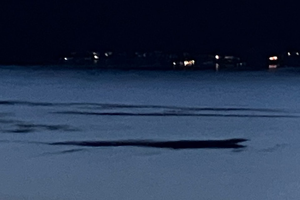 An Okanagan Lake resident caught this image from his deck of what may be, could be, possibly be, the lake's legendary monster resident, Ogopogo.
