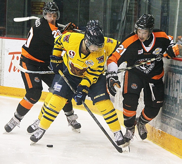 54724vernonrk-vipers3-112914WEB