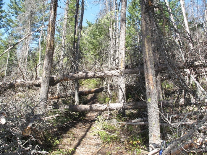 13038vernona-trail-11-8-11