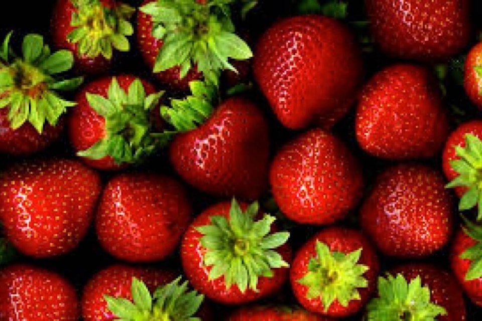 web1_170613-VMS-M-strawberries