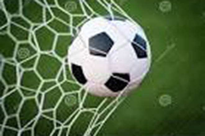 web1_Soccer-nettingWEB