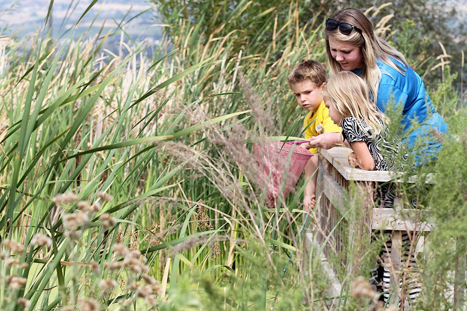 The Allan Brooks Nature Centre in Vernon celebrates 25 years of operation with a special gala evening on Thursday, June 12. (Morning Star - file photo)