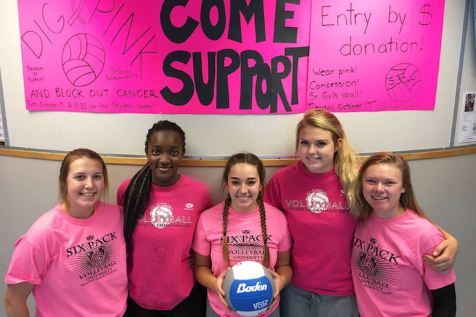 8923550_web1_171013-VMS-pink-volleyball