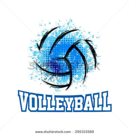 8964203_web1_volleyball-image