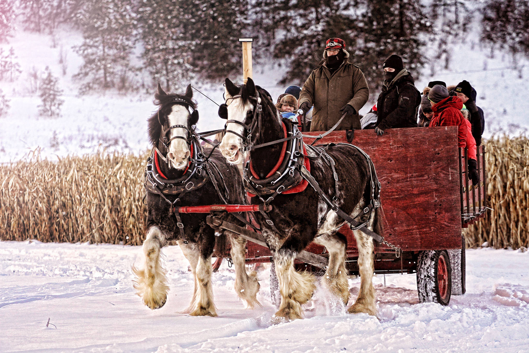 9973294_web1_Sleigh-Ride3