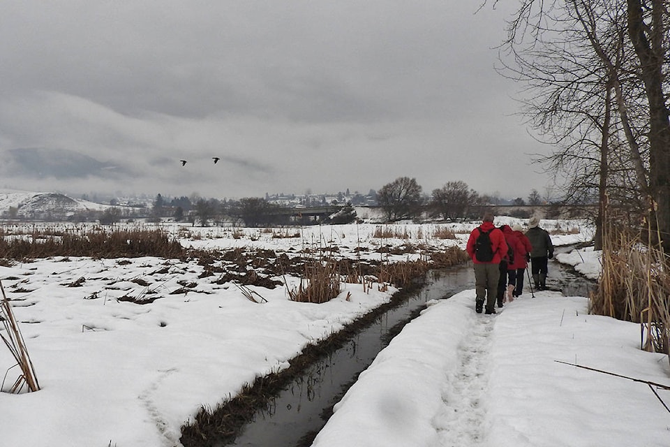 Despite the grey overcast, a group of hikers enjoy the scenery and fresh air while walking the Swan Lake Nature Reserve Saturday. (Claude Rioux photo)