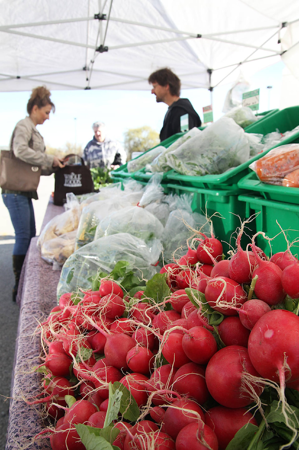 11413874_web1_lv-farmer-market-1-4-19-12