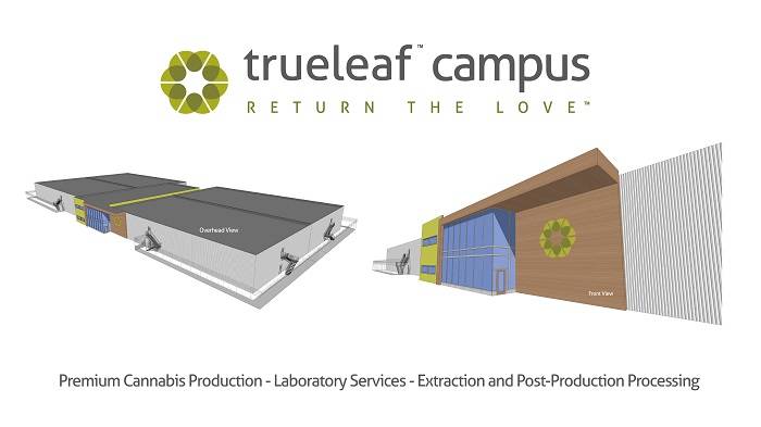 11744893_web1_TrueLeafCampus_Rendering