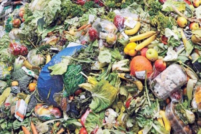 12776263_web1_10160823_web1_170627-CAN-M-food-waste-1024x683@2x