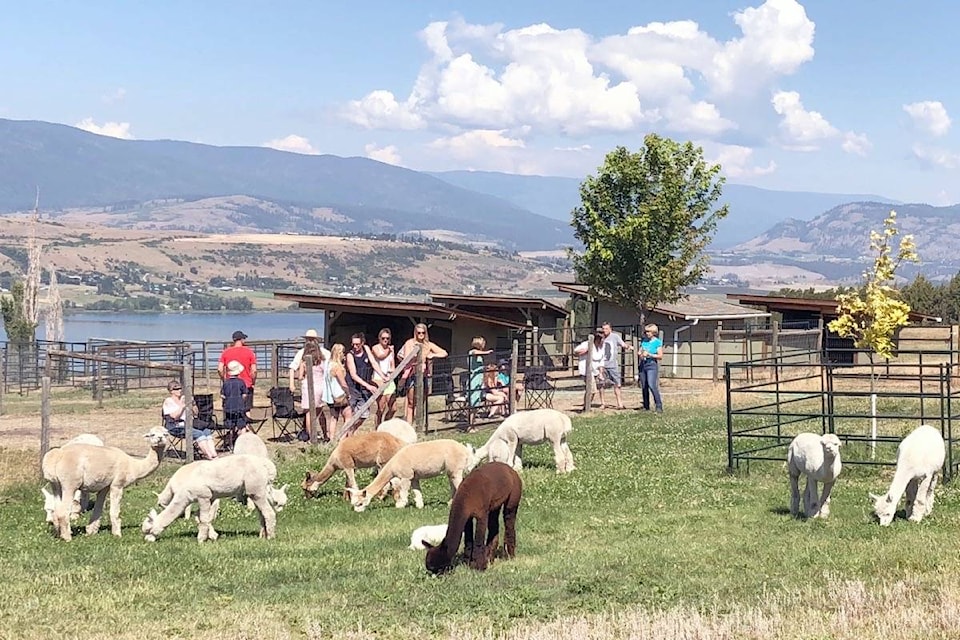 The event was well attended by people of all ages who had a unique opportunity to get up close and personal with the alpacas. (Submitted photo)