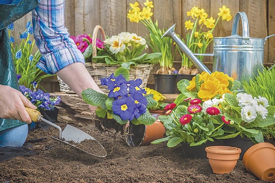 16227127_web1_180129-VMS-Gardening