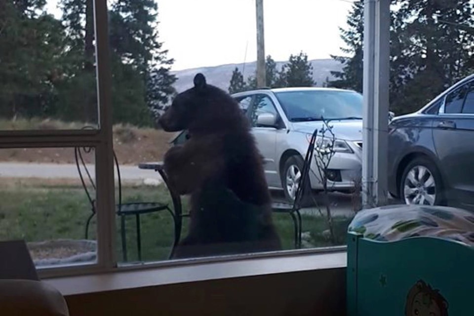 16734474_web1_190507-BPD-M-peachland-bear