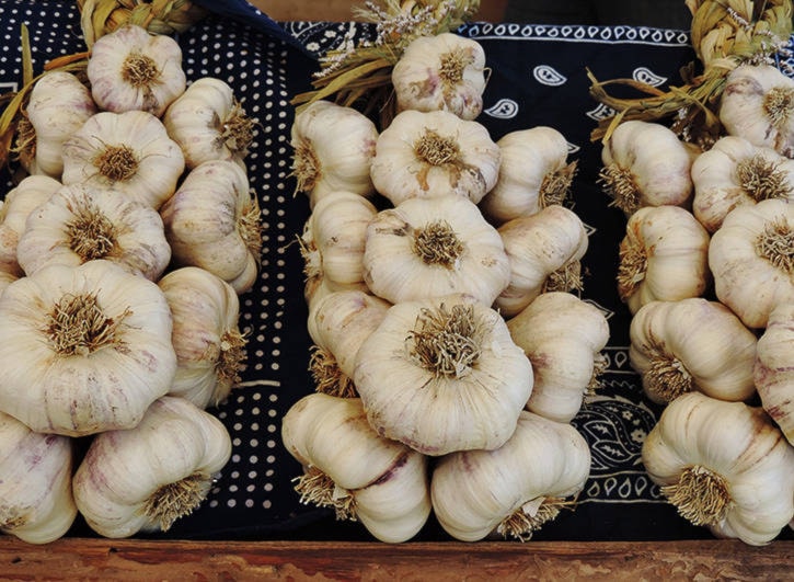 17709440_web1_23707vernongarlic