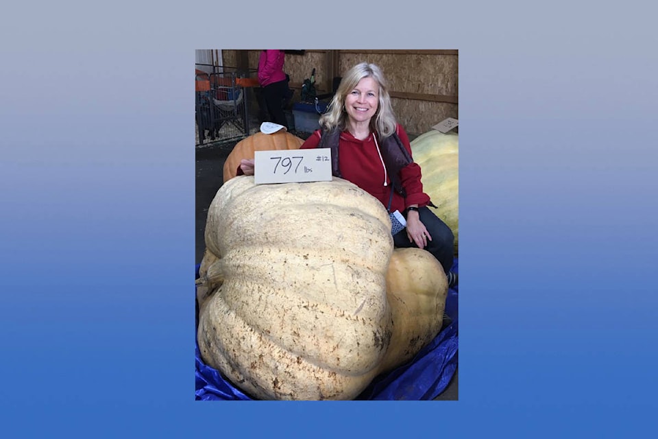 Erma Main shows off her winning entry at 797 pounds in the largest pumpkin contest during the 19th annual Armstrong Spallumcheen Chamber of Commerce Harvest Pumpkin Festival Saturday, Oct. 12, at the IPE Grounds. Main beat out her husband, Lloyd, by 47 pounds. (Armstrong Spallumcheen Chamber photo)